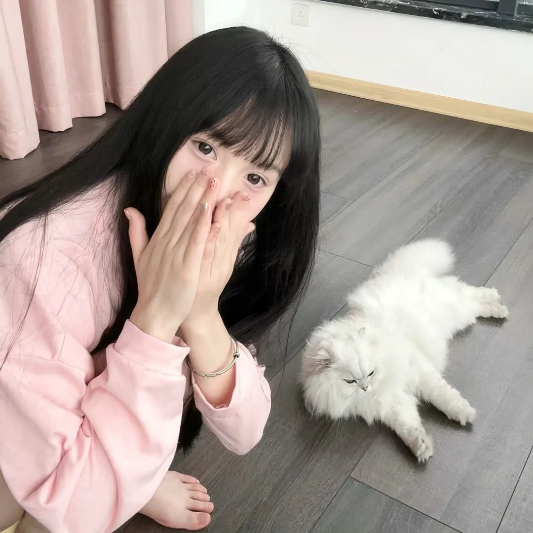 炮打双灯